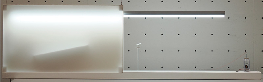 諦めのコリジョン